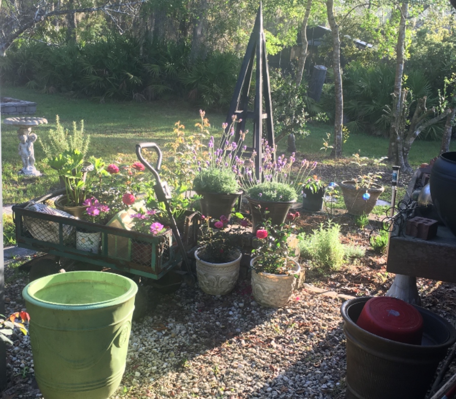 Garden with lots of containers and sunshine