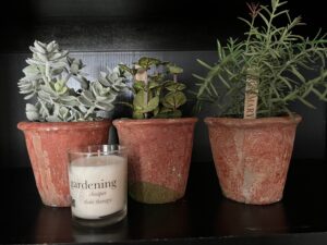 3 clay pots with herbs