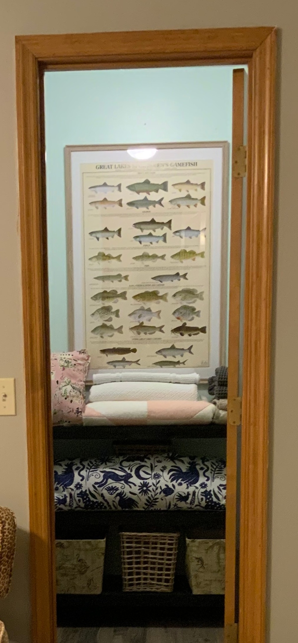 Closet weith cheery fish poster