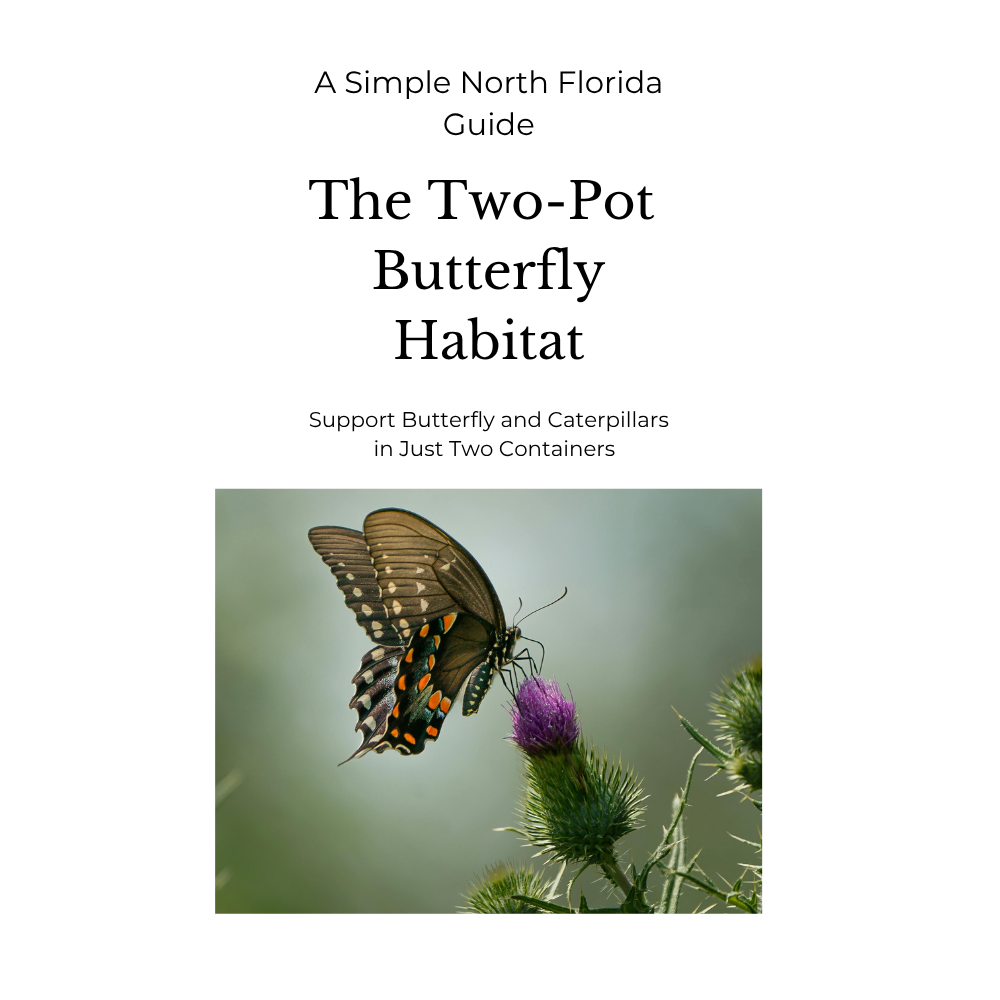 A Sismple North FLorida Guide - The Teo-Pot Butterfly Habitat